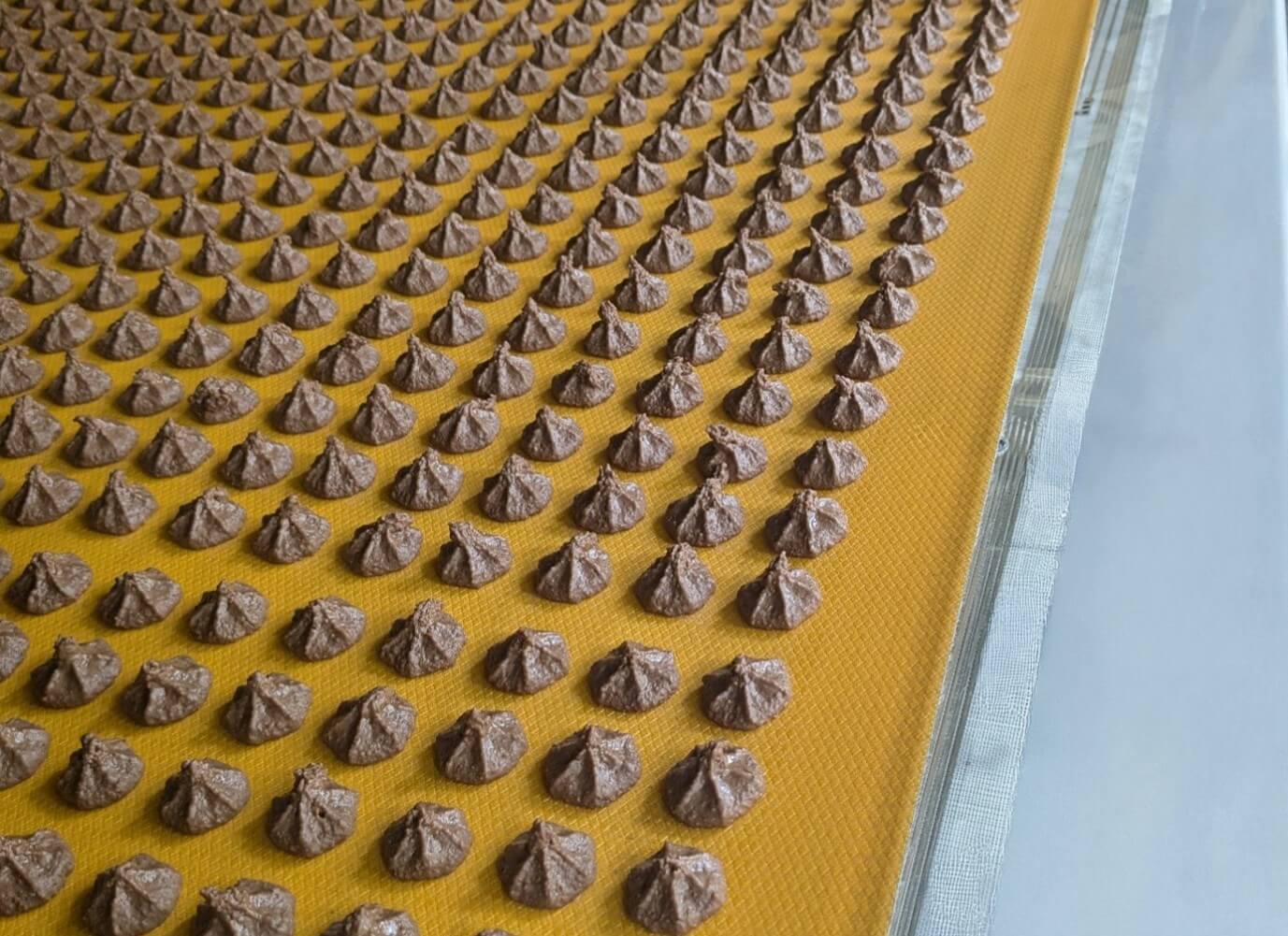 Kühlkanal Temperatursensoren der Flexora GmbH zur flächendeckenden Temperaturüberwachung entlang der Zetti-Kühlstrecke / Flexora GmbH cooling tunnel temperature sensors for comprehensive temperature monitoring along the Zetti cooling line